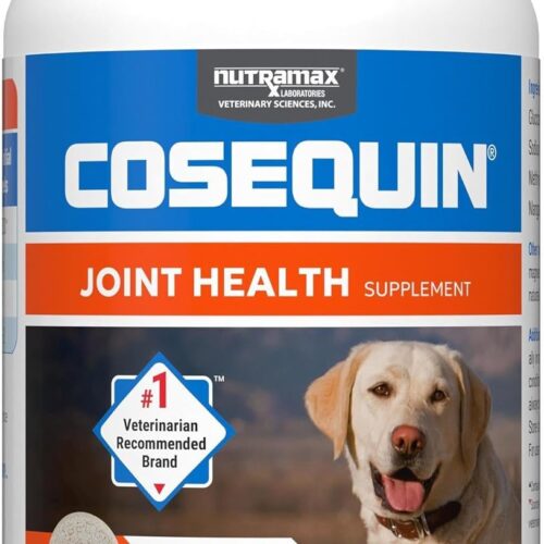Nutramax Laboratories Cosequin Maximum Strength Joint Health Supplement for Dogs – With Glucosamine, Chondroitin, and MSM, 2 Pack, 264 Total Chewable Tablets