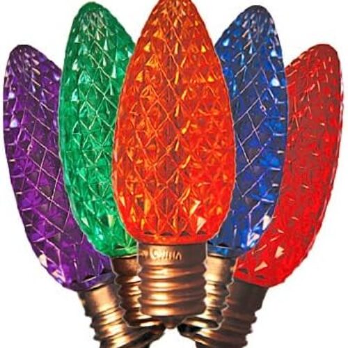 HOLIDAY BRIGHT LIGHTS LED Bulbs, Multi