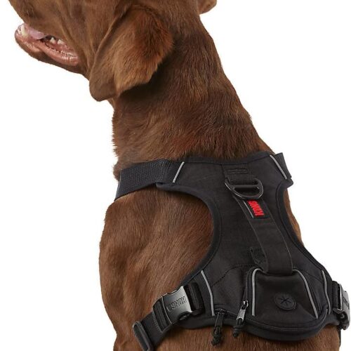 KONG Ultra Durable Waste Bag Harness (Large, Black)