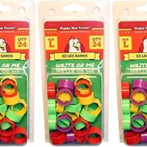 Happy Hen Treats 72 Count EZ Leg Bands, Large, Write-On Chicken Identification