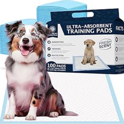 American Kennel Club Scented Puppy Training Pads with Ultra Absorbent Quick Dry Gel – 22 x 22 Pee Pads for Dogs – Fresh Scented – Pack of 100